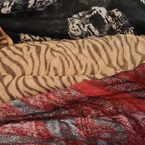 Set of 3 scarves